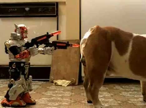 Robot approaches the dog in IKEA TV ad