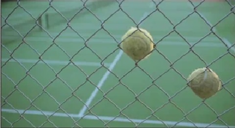 Jockey Tennis Balls