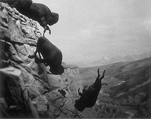 David Wojnarowicz buffalo falling