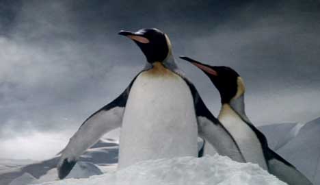 Penguins find their way in Guinness TV ad