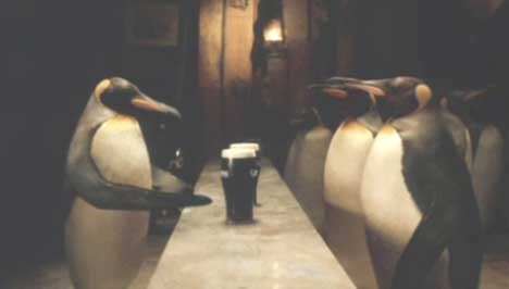 Penguins at the bar in Guinness TV ad