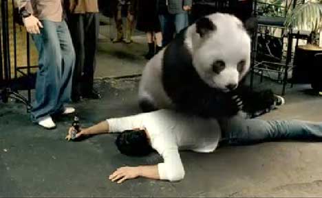 Panda in Tiger Beer ad
