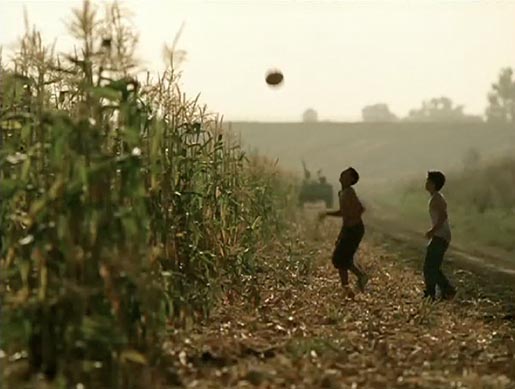 Boys play football in cane field