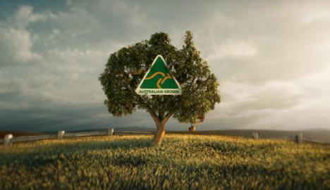 Australian Grown Tree TV ad