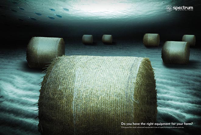 Hay rounds in Spectrum Aquaculture print ad