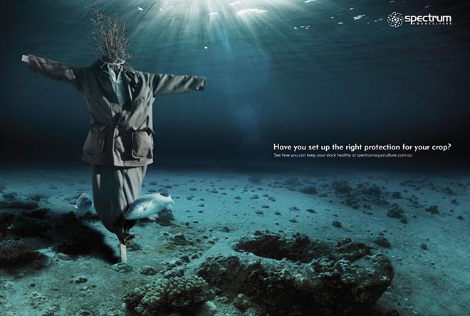 Scarecrow in Spectrum Aquaculture print ad