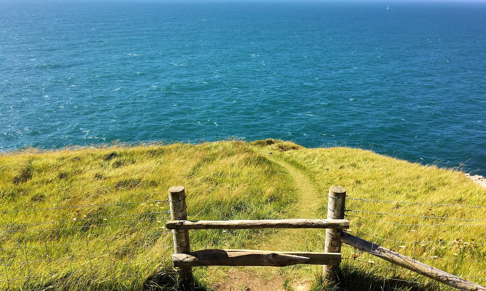 Where the road runs out - path to sea near Dunedin, NZ