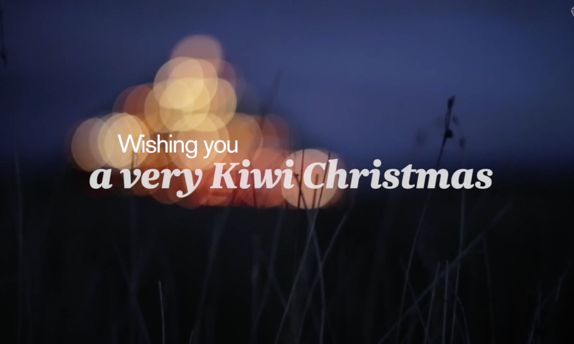 Air New Zealand Very Kiwi Christmas