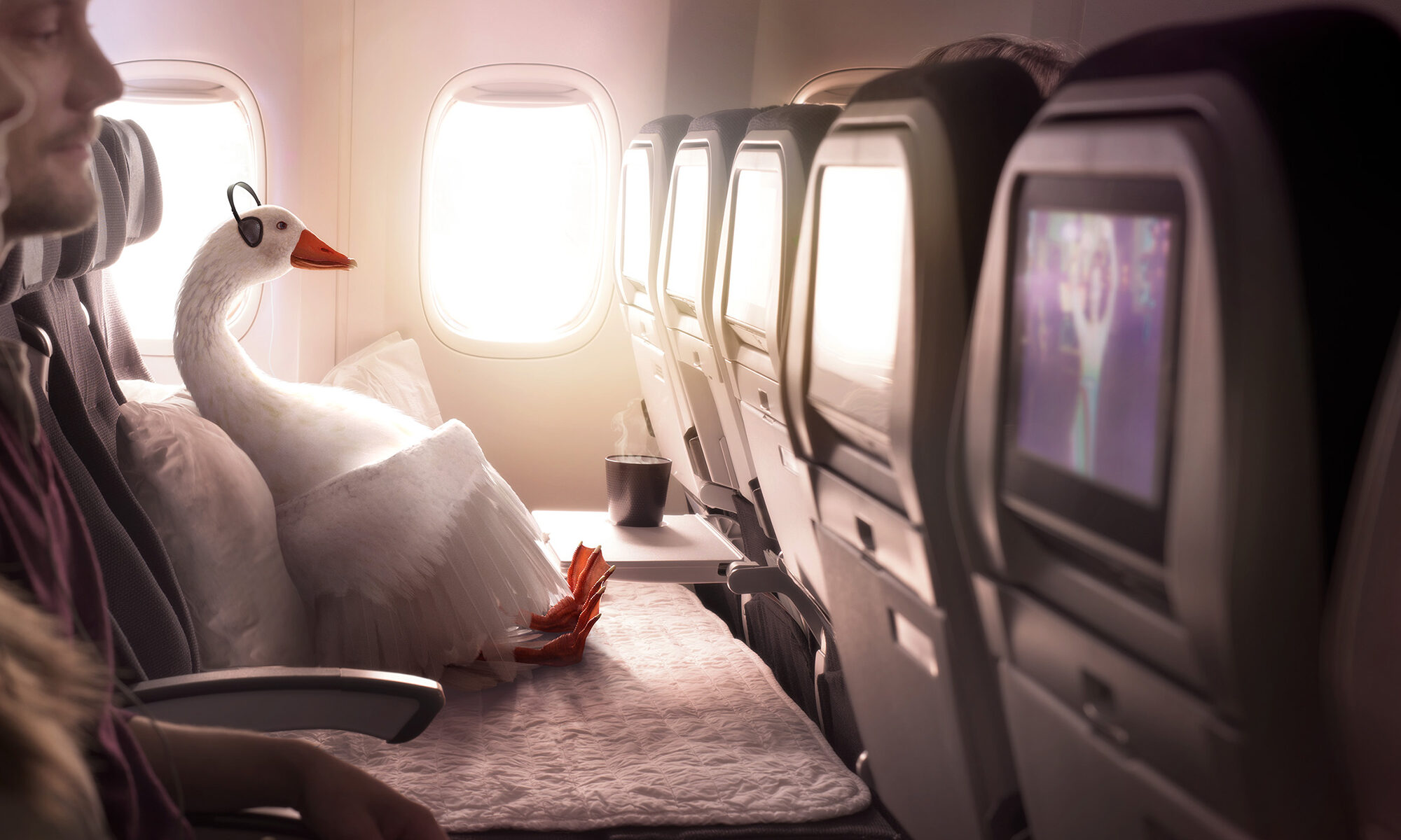 Air New Zealand Better Way To Fly with Dave the Goose